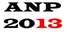 ALL NIGHT PARTY 2013 - Logo
