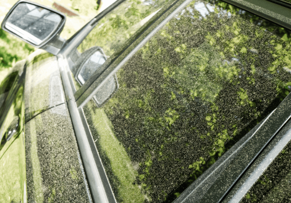 Protect your car from pollen damage with ScrubaDub Car Wash,